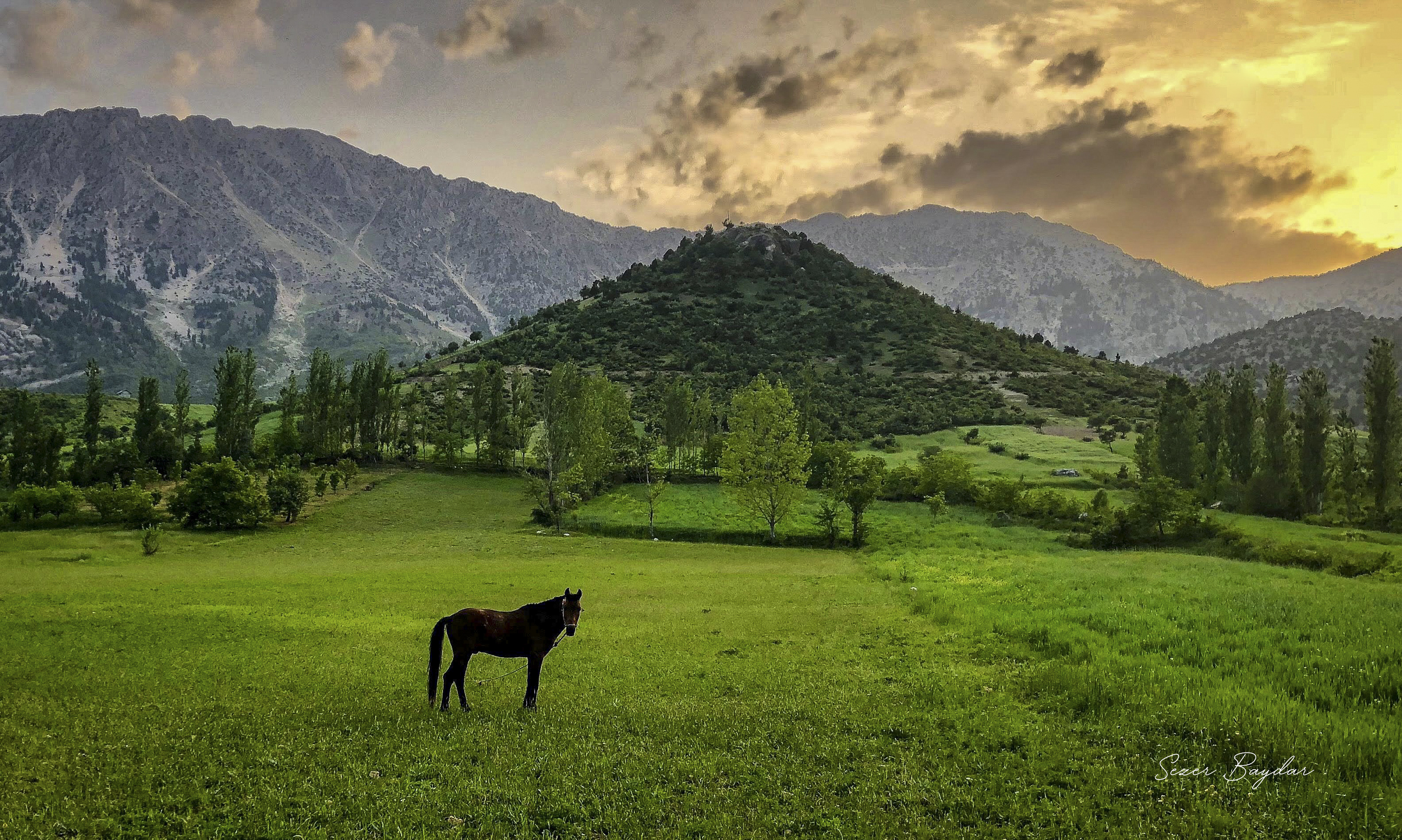 Kahramanmaraş