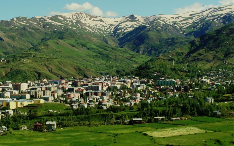 Muş